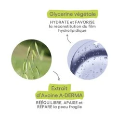 A Derma LES INDISPENSABLES - Lait Corps Hydratation 24H - Peaux Fragiles, 400ml -Boticinal Powersanté Soldes Boutique 03282770030211 335e1d73 51c0 4ba7 a1f4 96732b7cd431