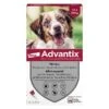ADVANTIX - Antiparasitaire Externe Moyen Chien, 6 Pipettes