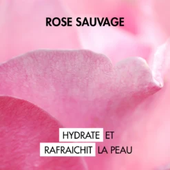 Melvita Eau Florale De Rose Ancienne Bio Spray, 200ml -Boticinal Powersanté Soldes Boutique 812724 6