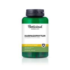 ARTICULATIONS - Harpagophytum, 200 Gélules