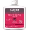 CATTIER Shampooing Couleur Sans Sulfate Bio - Cheveux Colorés, 250ml -Boticinal Powersanté Soldes Boutique cattier shamp couleur sans sulfate bio boticinal