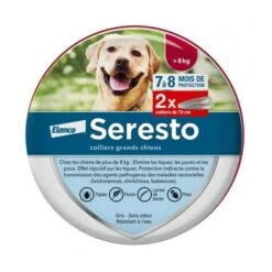 SERESTO - Collier Anti-Parasitaire Grand Chien, 2 Unités