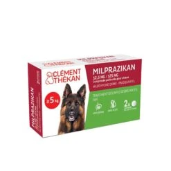 Milprazikan Vermifuge Comprimés Pelliculés Pour Chiens De Plus De 5kg, 2 Comprimés