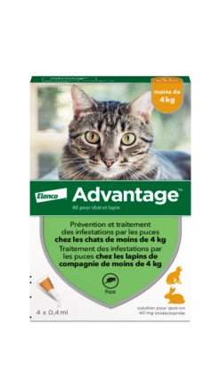 ADVANTAGE 40 - Traitement Anti-Puces Pour Chats Et Lapins -4kg, 4 Pipettes