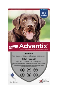 ADVANTIX - Antiparasitaire Externe Grand Chien, 4 Pipettes