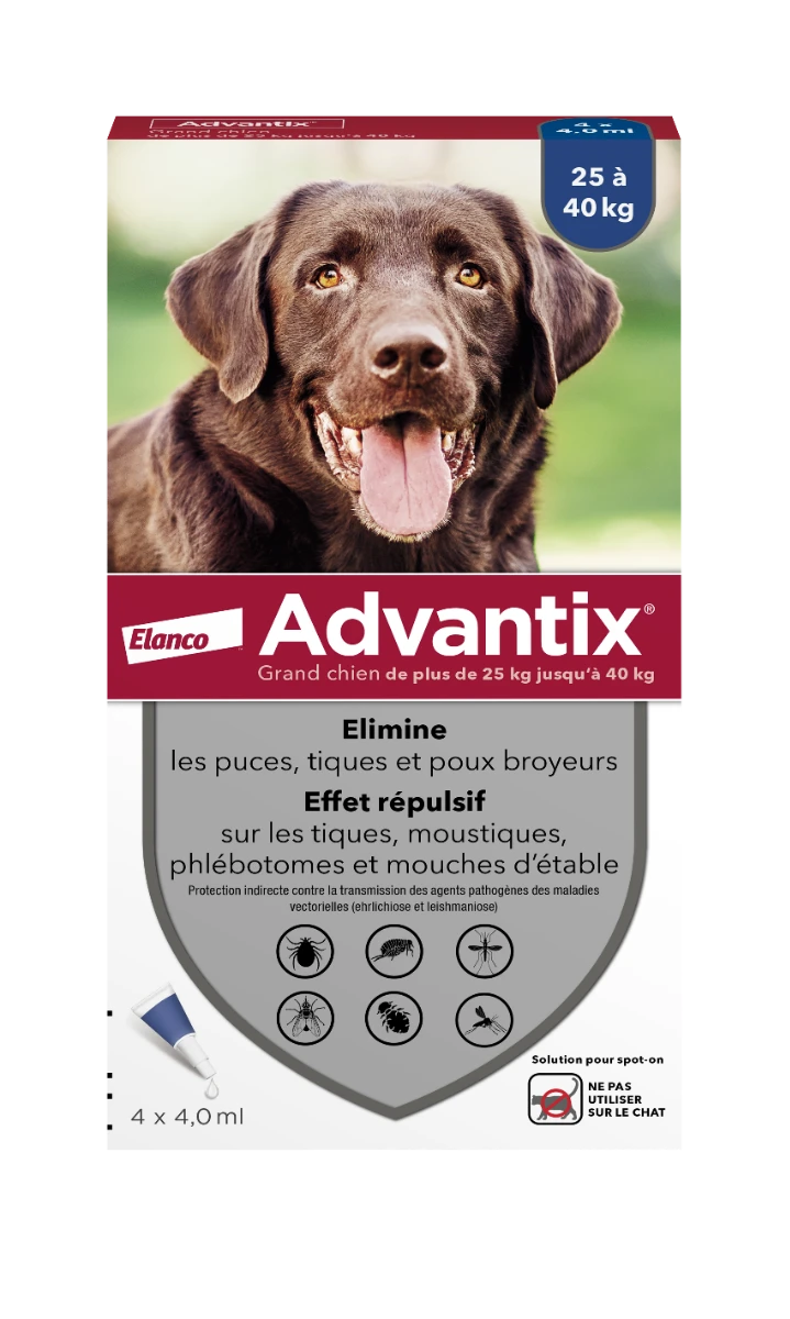 ADVANTIX - Antiparasitaire Externe Grand Chien, 4 Pipettes