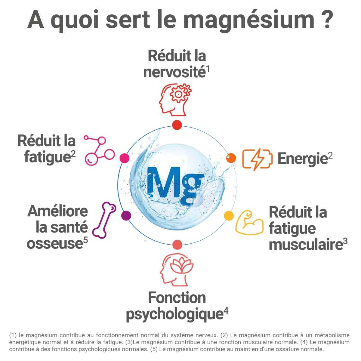 MAG 2 24H - Magnésium Marin, Vitamines B6 Et B12 - Nervosité, Fatigue Et Fatigue Musculaire, 120 Comprimés – Image 2
