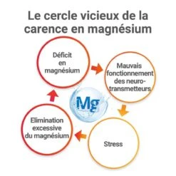 MAG 2 24H - Magnésium Marin, Vitamines B6 Et B12 - Nervosité, Fatigue Et Fatigue Musculaire, 120 Comprimés -Boticinal Powersanté Soldes Boutique mag 2 24h magn sium marin vitamines b6 et b12 nervosit fatigue et fatigue musculaire 120 comprim s 3