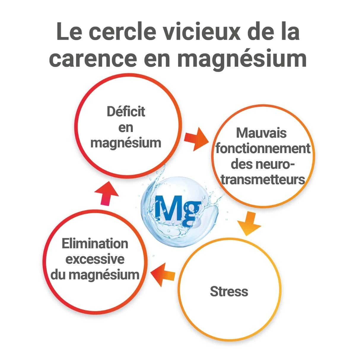 MAG 2 24H - Magnésium Marin, Vitamines B6 Et B12 - Nervosité, Fatigue Et Fatigue Musculaire, 120 Comprimés – Image 3