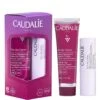 Caudalie COFFRET - Duo Hydratation Thé Des Vignes - Crème Réparatrice Mains Et Ongles 30ml + Stick Soin Des Lèvres 4,5g -Boticinal Powersanté Soldes Boutique p0204012