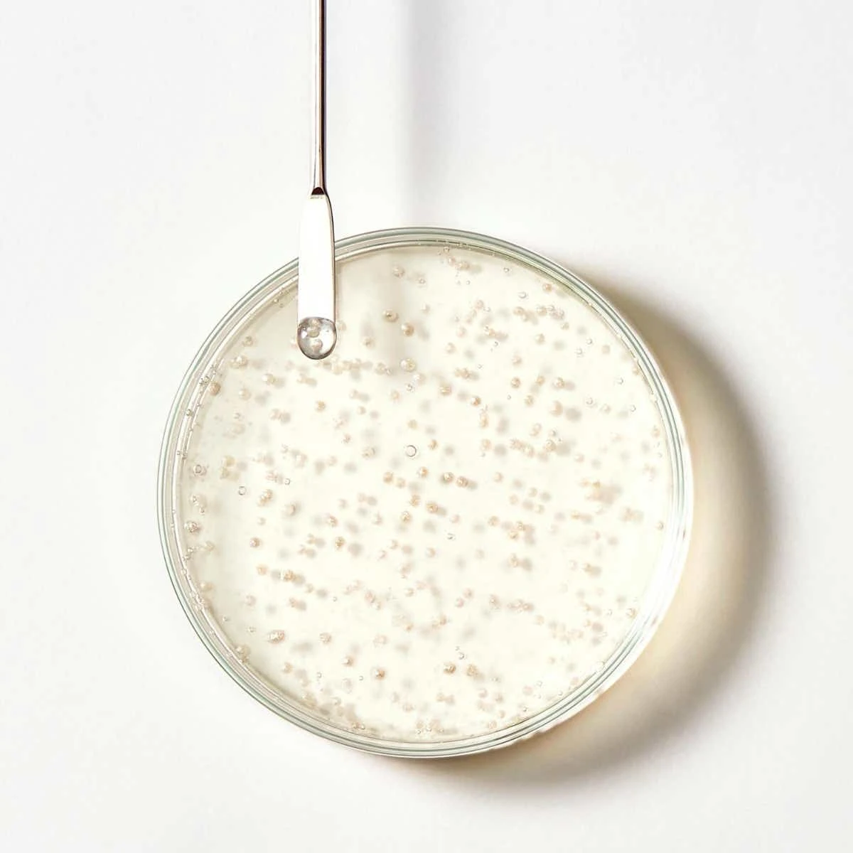 René Furterer TRIPHASIC - Shampooing Anti-Chute - Tous Types De Cheveux, 250ml 4 René Furterer TRIPHASIC - Shampooing Anti-Chute - Tous Types De Cheveux, 250ml – Image 2