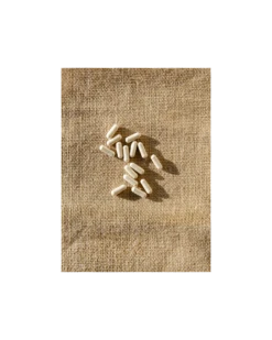 Psyllium Blond - Confort Intestinal, 90 Gelules -Boticinal Powersanté Soldes Boutique valebio psylloum blond 90 gelules boticinal 3